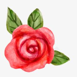 手绘植物玫瑰花矢量图素材