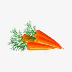精美蔬菜红萝卜素材
