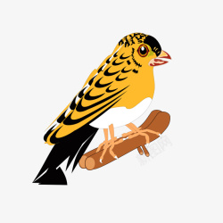 手绘小鸟矢量图素材