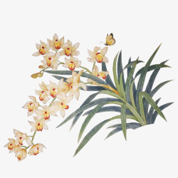 手绘水彩花卉装饰图案素材