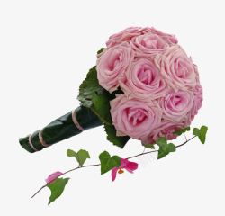 粉色玫瑰手捧花素材