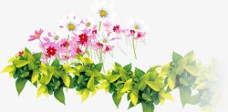 春天粉白色花朵植物素材