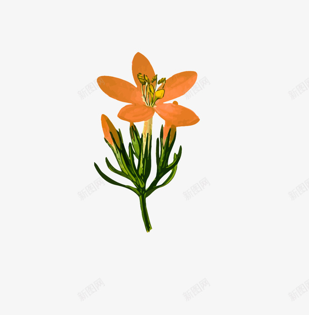 水彩龙胆草png免抠素材_88icon https://88icon.com 植物 水彩 药草 龙胆草