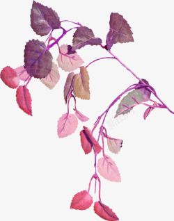 紫色唯美树叶植物手绘素材
