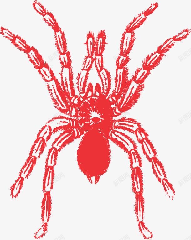 红色的蜘蛛png免抠素材_88icon https://88icon.com 动物 爬行 红色 蜘蛛
