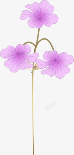 手绘紫色浪漫婚礼花朵素材