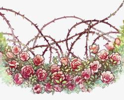 手绘玫瑰花素材
