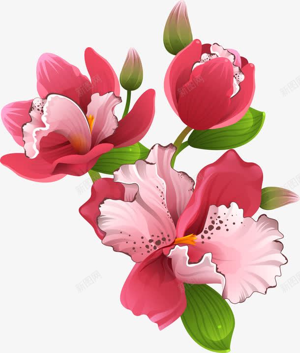 含苞待放的花png免抠素材_88icon https://88icon.com 叶子 手绘 简图 粉色 红色 绿色 花朵 花骨朵