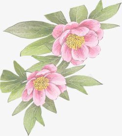 手绘粉色可爱水墨花朵素材