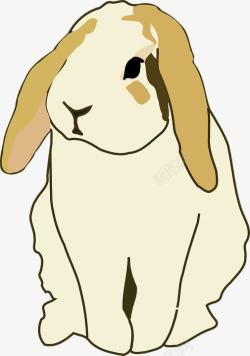 长兔动物世界长兔耳朵高清图片