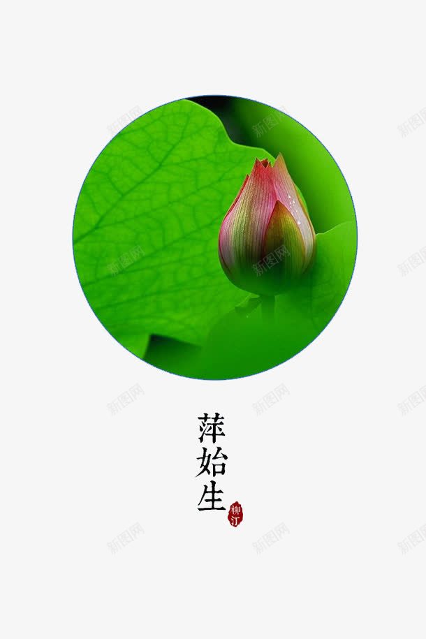 七十二候png免抠素材_88icon https://88icon.com 传统 气象 节气 萍始生