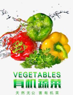 有机蔬菜素材