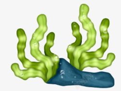 绿色海草素材