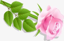 手绘粉色玫瑰花图案素材