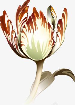 手绘花卉大理石背景素材