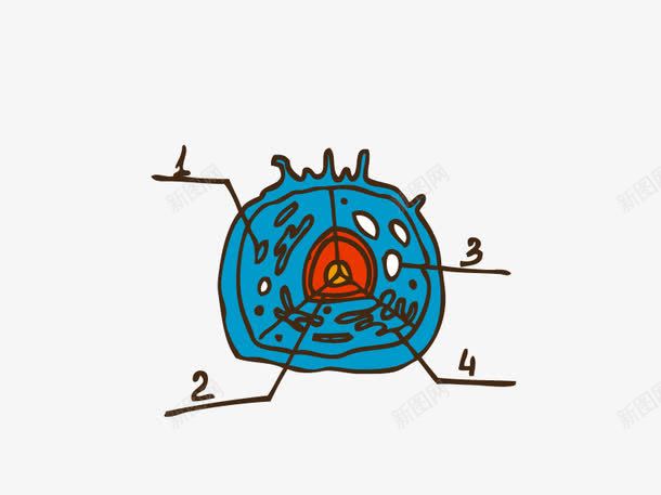 物理课程矢量图ai免抠素材_88icon https://88icon.com 璇剧 绱犳潗 鍗 鐗悊 鐭噺 矢量图