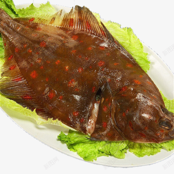 深海野生鲽鱼png免抠素材_88icon https://88icon.com 海产 食品 食物 鱼