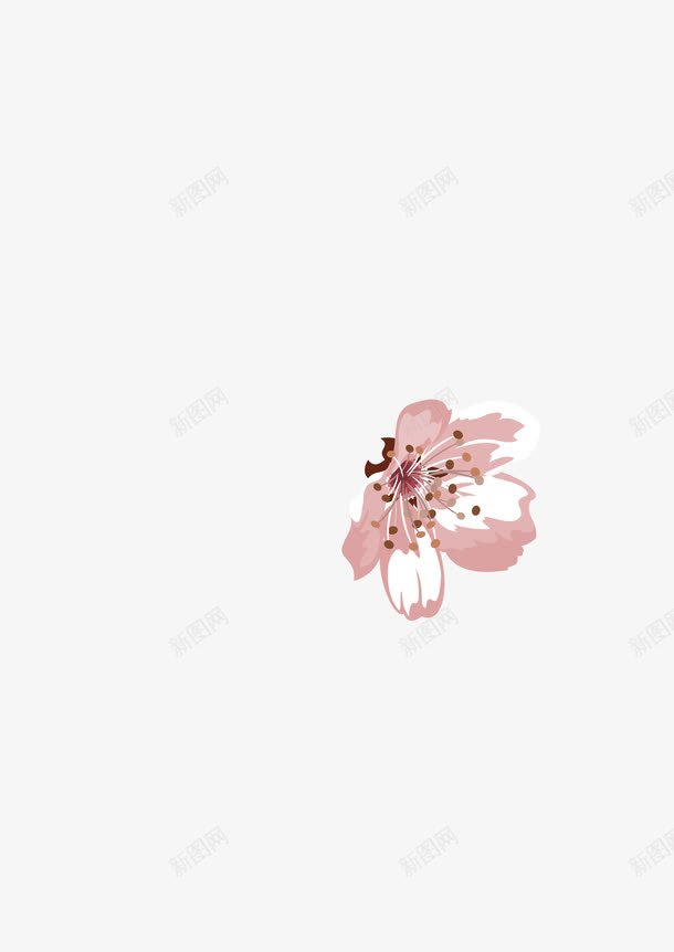 淡粉色花蕊png免抠素材_88icon https://88icon.com 开放 淡粉色 花朵 花蕊