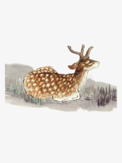 手绘梅花鹿素材