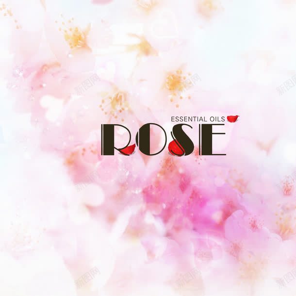 rose玫瑰花渐变色png免抠素材_88icon https://88icon.com rose 渐变色 玫瑰花