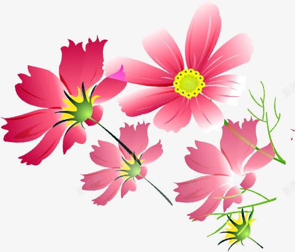 粉色唯美可爱花朵植物png免抠素材_88icon https://88icon.com 可爱 植物 粉色 花朵