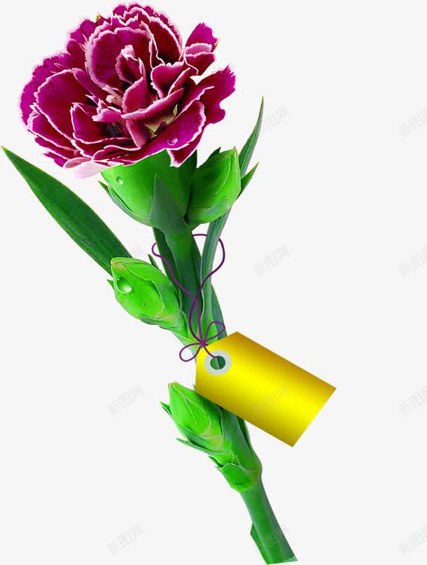 紫色卡通节日花朵植物png免抠素材_88icon https://88icon.com 卡通 植物 紫色 节日 花朵