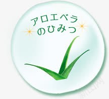 韩语植物化妆品绿色圆形png免抠素材_88icon https://88icon.com 化妆品 圆形 植物 绿色