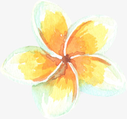 手绘水彩黄白色花朵素材