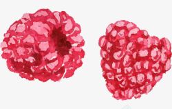 手绘水彩木莓子素材