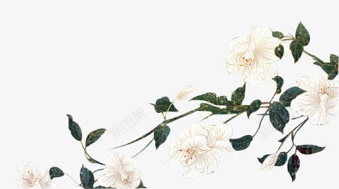 白色娇艳花朵png免抠素材_88icon https://88icon.com 卡通手绘 植物 白色叶子 花朵 花草树木