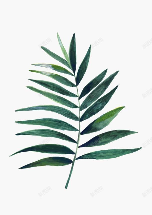 海报绿色植物树叶叶子png免抠素材_88icon https://88icon.com 叶子 树叶 海报 绿色植物