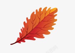 红叶素材