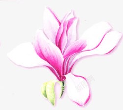 手绘水彩粉色可爱花朵素材