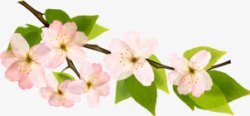 春天粉白色花朵植物装饰素材
