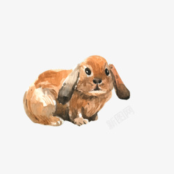 卡通可爱动物海报装饰兔子素材