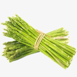 蔬菜竹笋素材