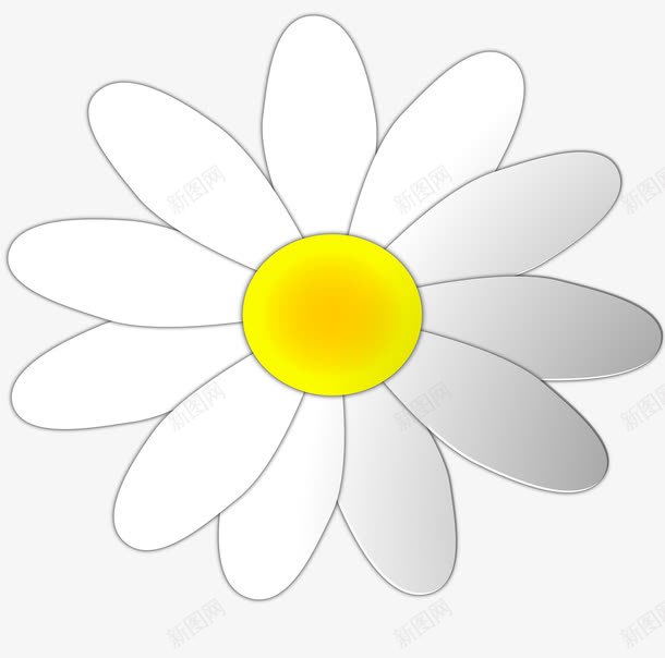 白色雏菊png免抠素材_88icon https://88icon.com 图案设计 白色雏菊 花 雏菊