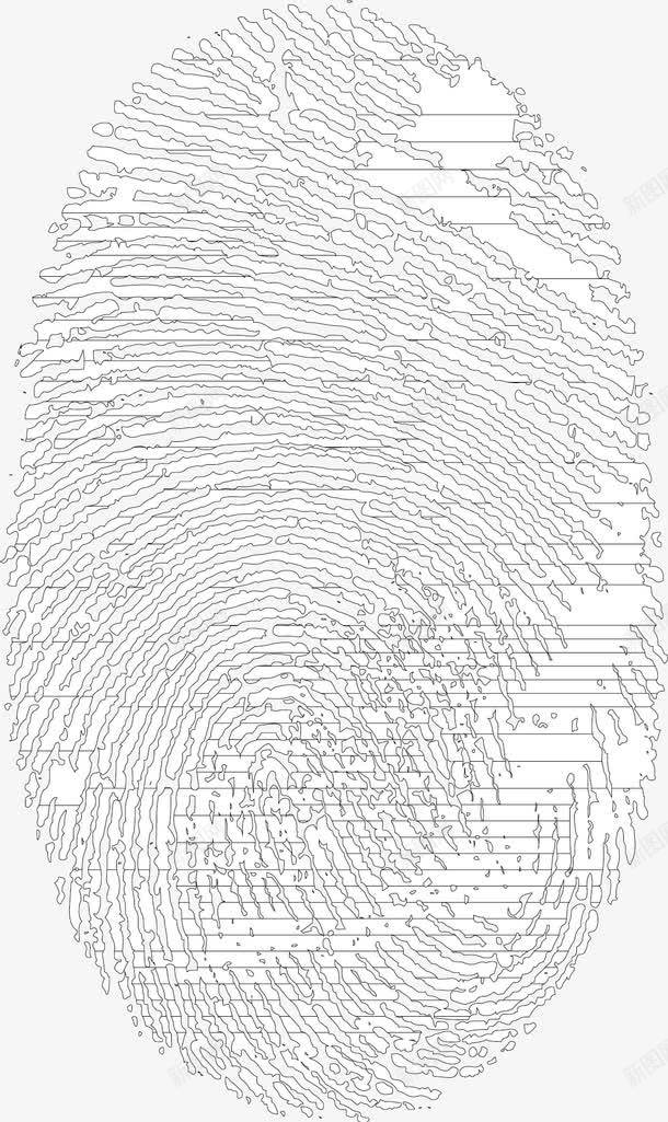 指纹纹理png免抠素材_88icon https://88icon.com 扫描指纹 指纹扫描 指纹素材 漂亮指纹 矢量指纹素材