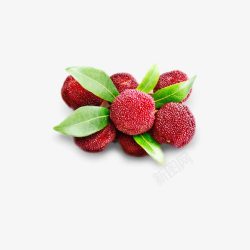 新鲜的杨梅素材