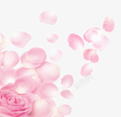 粉色鲜花花瓣装饰图案素材