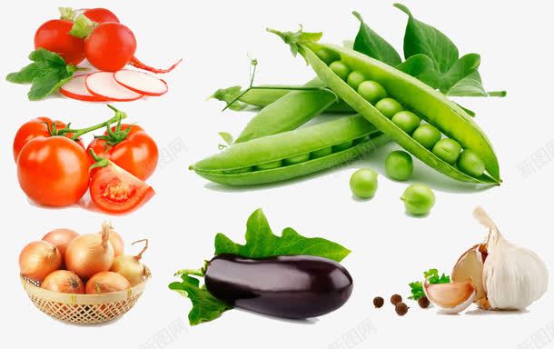 新鲜的瓜果蔬菜png免抠素材_88icon https://88icon.com 健康 新鲜 营养 蔬菜 食材