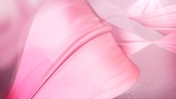 粉色大花瓣海报背景素材