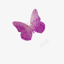 紫色蝴蝶图案插画素材