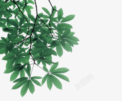 绿色树叶树枝装饰图案素材