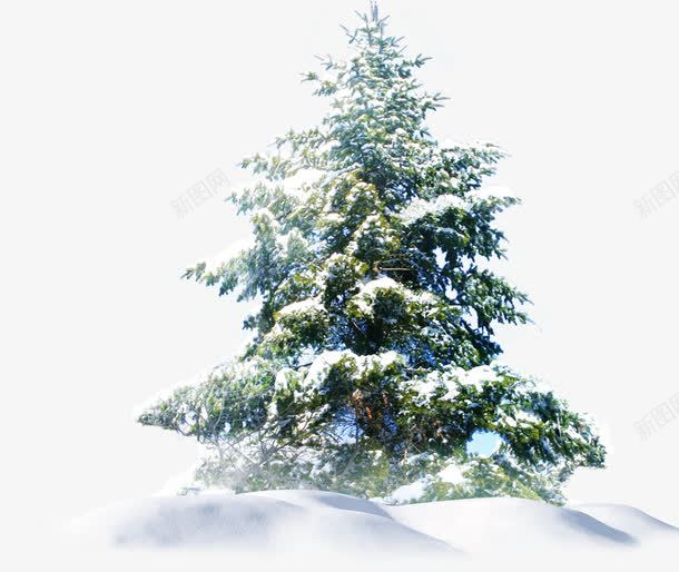 圣诞节雪花大树装饰png免抠素材_88icon https://88icon.com 圣诞节 大树 装饰 雪花