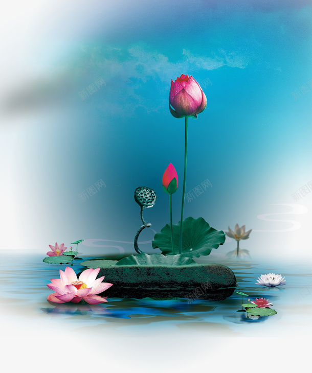 3D荷花psd免抠素材_88icon https://88icon.com 漂亮 粉色 绿色