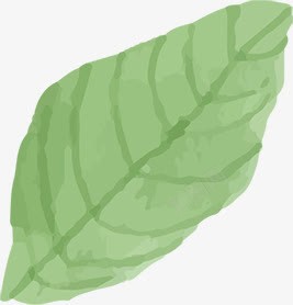 创意水彩合成绿色的植物树叶png免抠素材_88icon https://88icon.com 创意 合成 树叶 植物 水彩 绿色