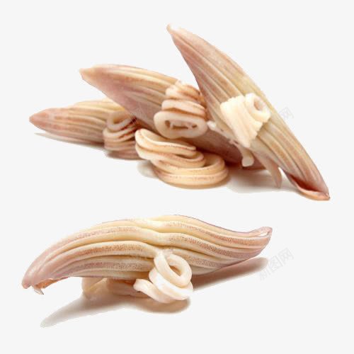 阿根廷原汁鱿鱼爪png免抠素材_88icon https://88icon.com 产品实物 水产鱿鱼爪 阿根廷原汁鱿鱼爪 鱿鱼爪