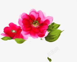 粉色手绘水彩清新花朵素材