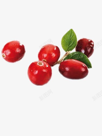 新鲜蔓越莓png免抠素材_88icon https://88icon.com 新鲜 红色 蔓越莓